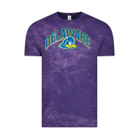 Delaware Blue Hens Vintage Tee | Teevron
