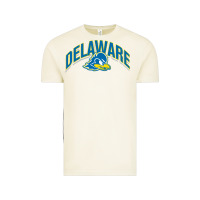 Vintage Arctic delaware blue hens Vintage Tee - linhVisuals