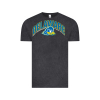 Vintage Black delaware blue hens Vintage Tee - linhVisuals