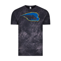 Cloud Black hofstra pride Vintage Tee - linhVisuals