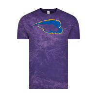 Cloud Purple hofstra pride Vintage Tee - linhVisuals