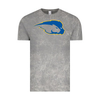 Cloud Rock hofstra pride Vintage Tee - linhVisuals