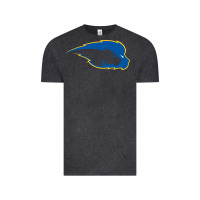 Vintage Black hofstra pride Vintage Tee - linhVisuals