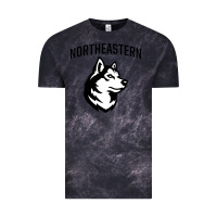Cloud Black northeastern huskies Vintage Tee - linhVisuals