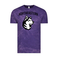 Cloud Purple northeastern huskies Vintage Tee - linhVisuals
