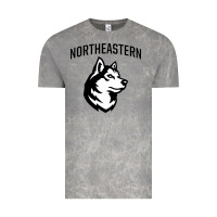 Cloud Rock northeastern huskies Vintage Tee - linhVisuals