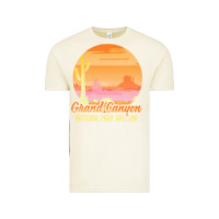Vintage Arctic grand canyon national park t  shirt grand canyon arizona u s national Vintage Tee - linhVisuals