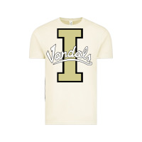 Vintage Arctic idaho vandals Football team Vintage Tee - linhVisuals