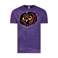Cloud Purple temple owls Vintage Tee - linhVisuals
