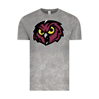Cloud Rock temple owls Vintage Tee - linhVisuals