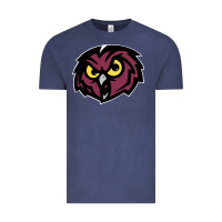 Vintage Denim temple owls Vintage Tee - linhVisuals