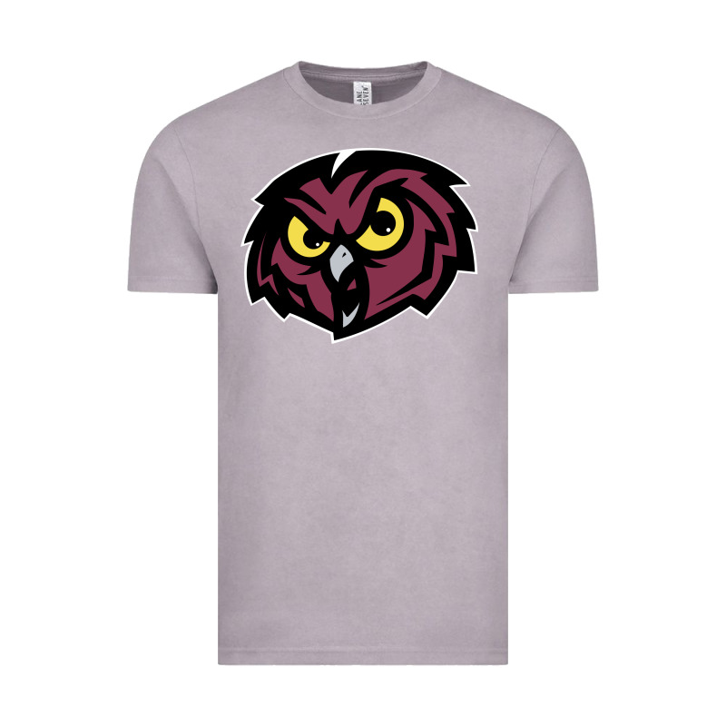 Temple Owls Vintage Tee by linhVisuals | Teevron