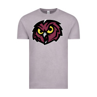 Vintage Zinc temple owls Vintage Tee - linhVisuals