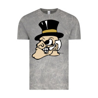 Cloud Rock wake forest demon deacons Vintage Tee - linhVisuals