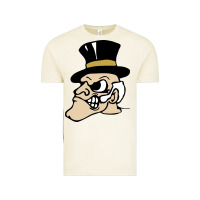 Vintage Arctic wake forest demon deacons Vintage Tee - linhVisuals