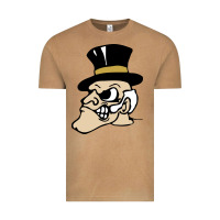 Wake Forest Demon Deacons Vintage Tee | Teevron