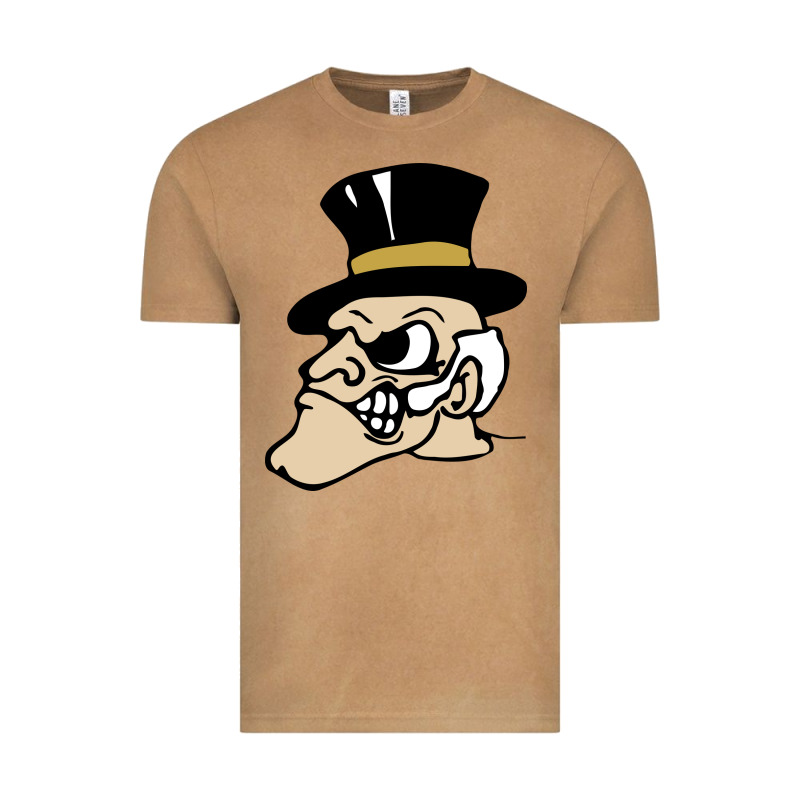 Wake Forest Demon Deacons Vintage Tee by linhVisuals | Teevron