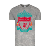 Cloud Rock new you'll never walk alone liverpool Vintage Tee - linhVisuals