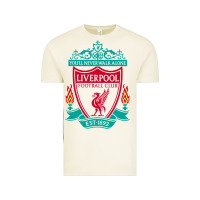 Vintage Arctic new you'll never walk alone liverpool Vintage Tee - linhVisuals