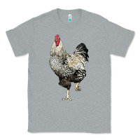 Heather Grey wyandotte rooster Classic Tee - LillyAllenDesigns