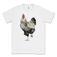 White wyandotte rooster Classic Tee - LillyAllenDesigns