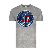 Cloud Rock liberty university seal Vintage Tee - linhVisuals