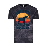 Cloud Black schnauzer just a boy who loves dogs men retro vintage sunset raglan ba Vintage Tee - linhVisuals