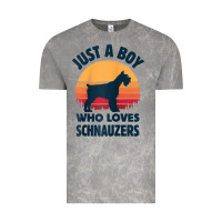 Schnauzer Just A Boy Who Loves Dogs Men Retro Vintage Sunset Raglan Ba Vintage Tee | Teevron