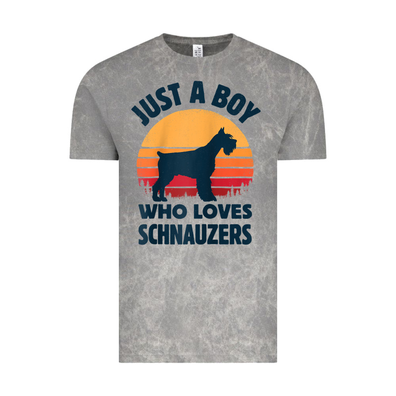 Schnauzer Just A Boy Who Loves Dogs Men Retro Vintage Sunset Raglan Ba Vintage Tee by linhVisuals | Teevron