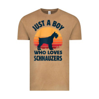Vintage Camel schnauzer just a boy who loves dogs men retro vintage sunset raglan ba Vintage Tee - linhVisuals