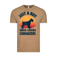Vintage Coffee schnauzer just a boy who loves dogs men retro vintage sunset raglan ba Vintage Tee - linhVisuals