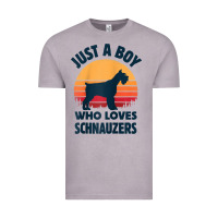 Vintage Zinc schnauzer just a boy who loves dogs men retro vintage sunset raglan ba Vintage Tee - linhVisuals