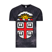Cloud Black brown university coat of arms Vintage Tee - linhVisuals