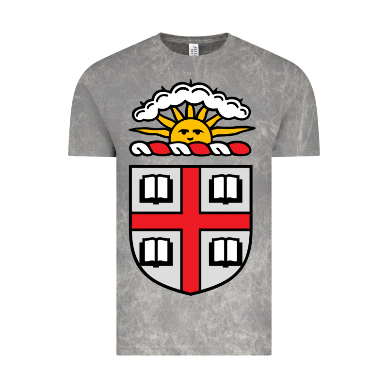 Brown University Coat Of Arms Vintage Tee by linhVisuals | Teevron