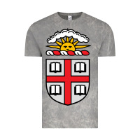 Cloud Rock brown university coat of arms Vintage Tee - linhVisuals