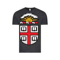 Vintage Black brown university coat of arms Vintage Tee - linhVisuals