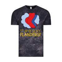 Cloud Black stupid sexy flanders! Vintage Tee - linhVisuals