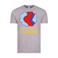 Vintage Zinc stupid sexy flanders! Vintage Tee - linhVisuals