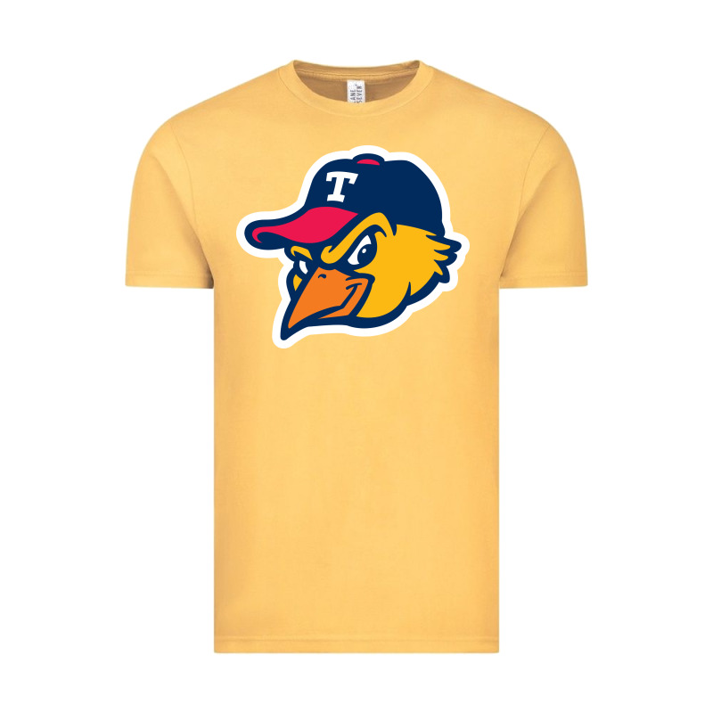 Toledo-mud-hens Vintage Tee by linhVisuals | Teevron