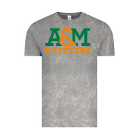 Cloud Rock florida a&m rattlers Vintage Tee - linhVisuals