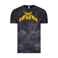 Cloud Black north carolina a&t aggies Vintage Tee - linhVisuals