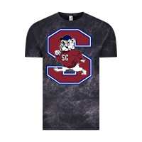 Cloud Black south carolina state bulldogs Vintage Tee - linhVisuals