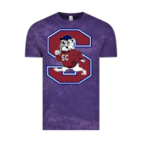 South Carolina State Bulldogs Vintage Tee | Teevron
