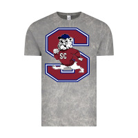 Cloud Rock south carolina state bulldogs Vintage Tee - linhVisuals