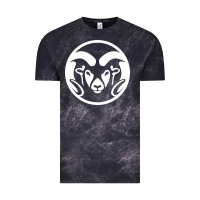 Colorado State Rams Vintage Tee | Teevron