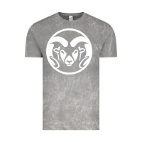 Cloud Rock colorado state rams Vintage Tee - linhVisuals