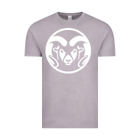 Vintage Zinc colorado state rams Vintage Tee - linhVisuals