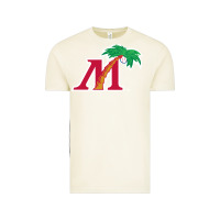 Vintage Arctic fort myers miracle Vintage Tee - linhVisuals
