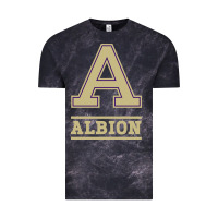 Albion College Athleticpurple Vintage Tee | Teevron