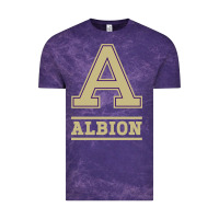 Cloud Purple albion college athleticpurple Vintage Tee - linhVisuals